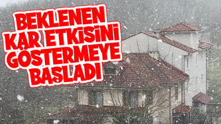 Sakarya'da kar yağışı başladı