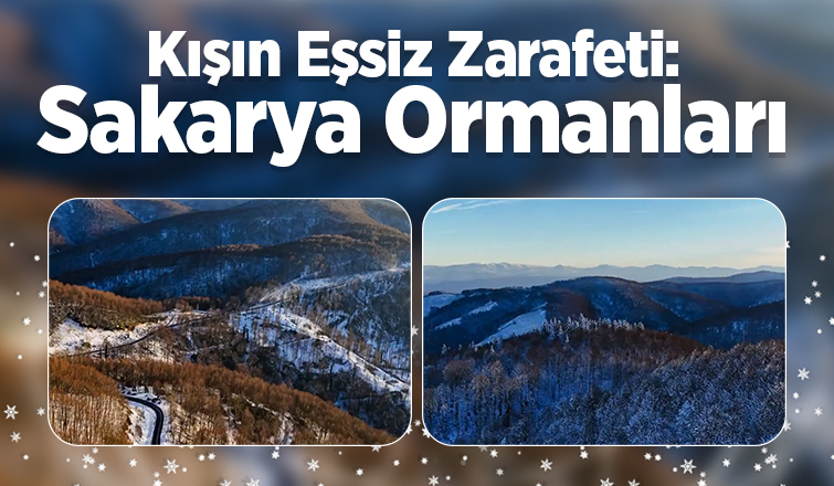 Sakarya'da karla gelen güzellik