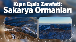 Sakarya'da karla gelen güzellik