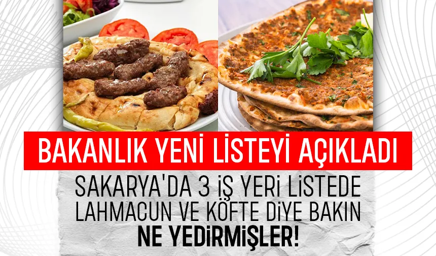 Sakarya'da köfte, lahmacun ve acı toz biberde hile çıktı