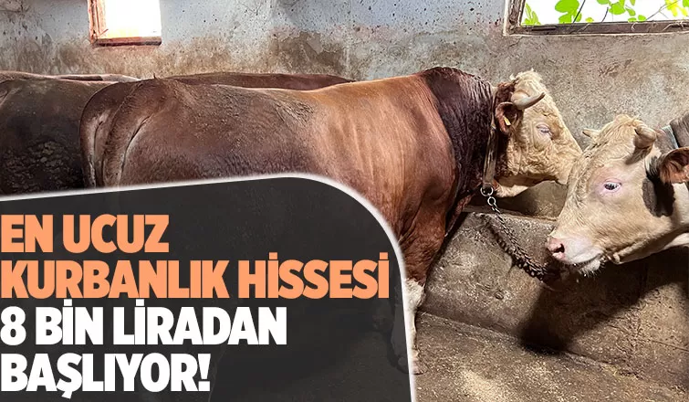 Sakarya'da kurban pazarında hareketlilik başladı