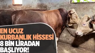 Sakarya'da kurban pazarında hareketlilik başladı