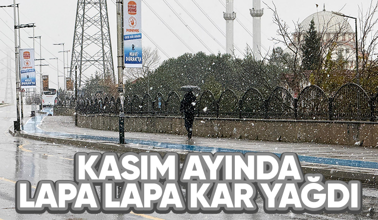 Sakarya'da lapa lapa kar yağdı