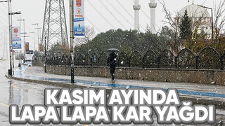 Sakarya'da lapa lapa kar yağdı