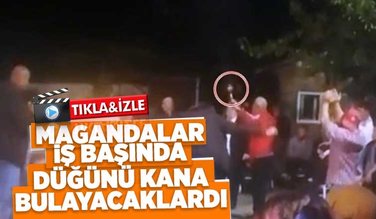 Sakarya'da maganda dehşeti