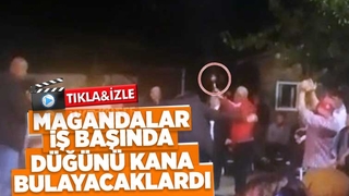 Sakarya'da maganda dehşeti