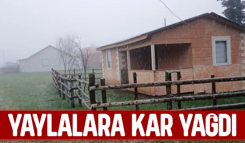 Sakarya'da Mayıs ayının ilk günü yaylalara kar yağdı