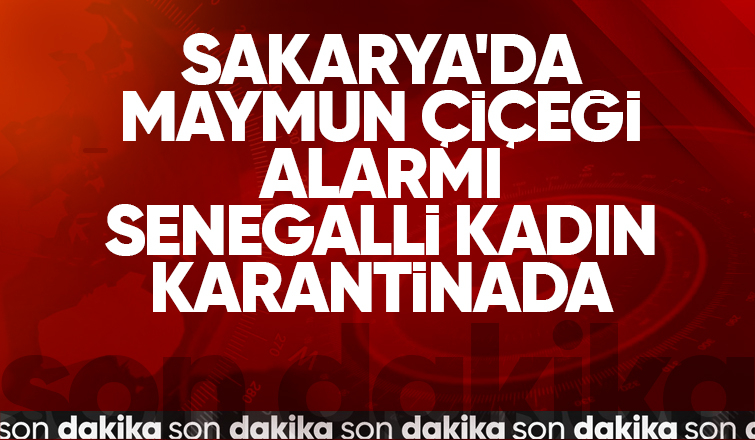 Sakarya'da maymun çiçeği alarmı; Bir kişi karantinada