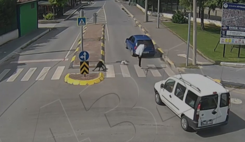 Yaya geçidinde acı içinde kaldı