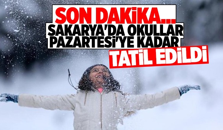 Sakarya'da okullar Pazartesi'ye kadar tatil edildi