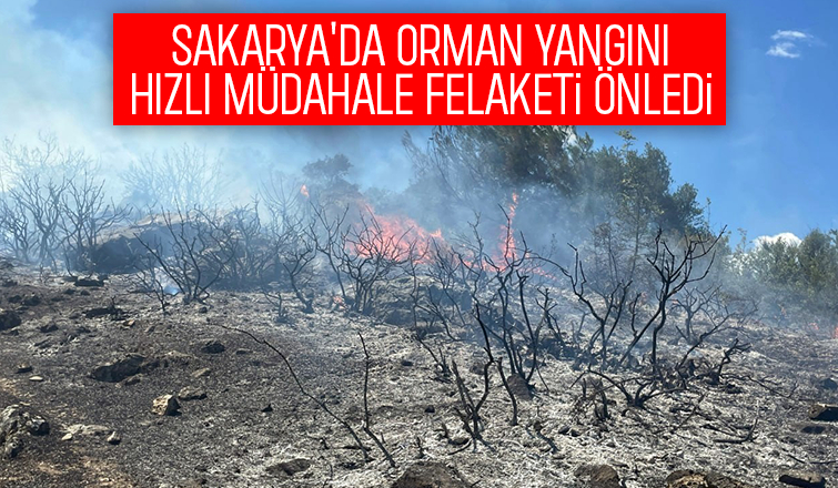 Sakarya'da orman yangını