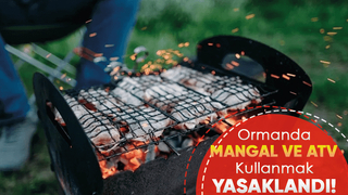 Sakarya'da ormanda mangal yapmak yasaklandı