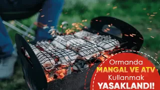 Sakarya'da ormanda mangal yapmak yasaklandı