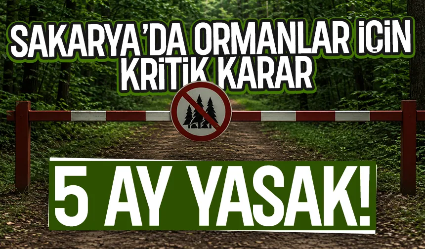 Sakarya'da ormanlara giriş yasağı geldi; İşte detaylar