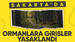 Sakarya'da ormanlara girişler 1 Kasım'a kadar yasaklandı