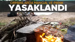 Sakarya'da ormanlarda mangal ve piknik yasaklandı