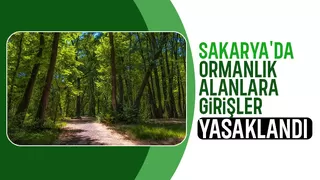 Sakarya da ormanlık alanlara giriş yasağı
