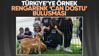 Sakarya'da Pati İzi Can Dostlar buluşması