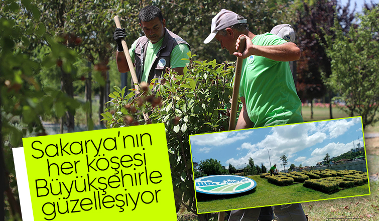 Sakarya'da peyzaj çalışmaları kente güzellik katıyor