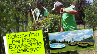 Sakarya'da peyzaj çalışmaları kente güzellik katıyor