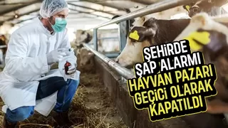 Sakarya'da şap alarmı