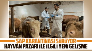 Sakarya'da şap hastalığı sürüyor
