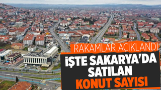 Sakarya'da satılan konut sayısı açıklandı