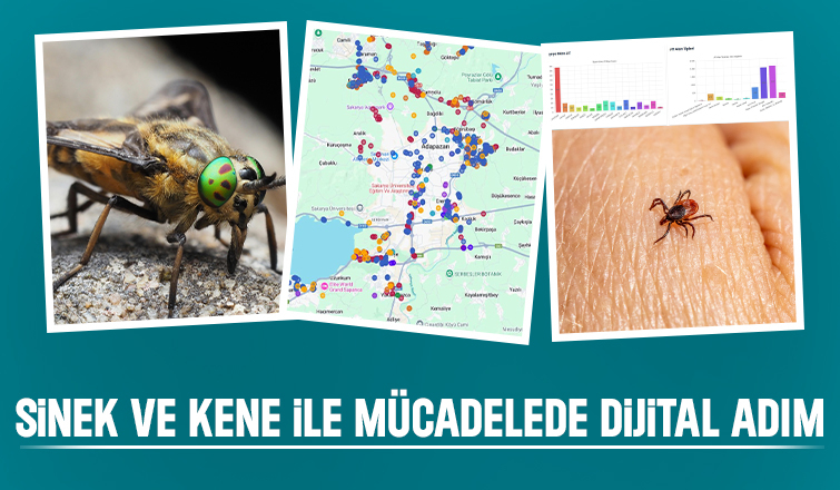 Sakarya'da sinek ve kene ile mücadelede dijital adım