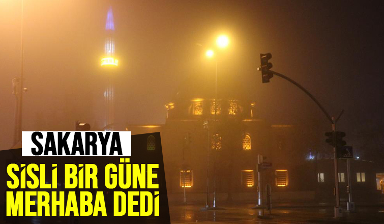 Sakarya'da sis etkili oldu, görüş mesafesi 5 metreye kadar düştü