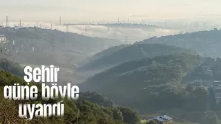 Sakarya'da sis etkili oldu