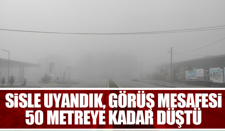 Sakarya'da sis etkili oldu
