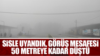 Sakarya'da sis etkili oldu