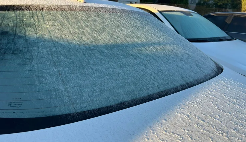 Sakarya'da soğuk hava ve kırağı etkili oldu