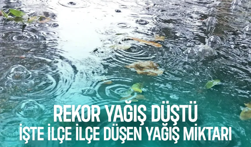 Sakarya'da son 12 saatte rekor yağış düştü; İşte ilçe ilçe düşen yağış miktarı