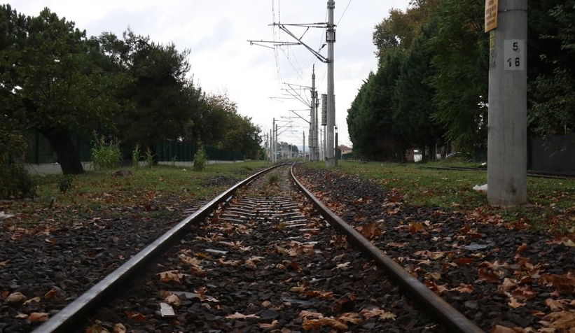 Sakarya'da sonbahar manzarası