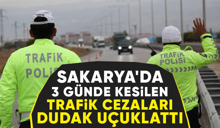 Sakarya'da sürücülere ceza yağdı