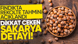 Sakarya'da tahmini fındık rekoltesi açıklandı