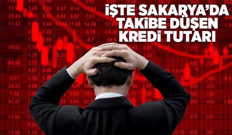 Sakarya'da takibe düşen kredi miktarı açıklandı