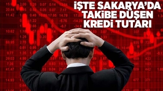 Sakarya'da takibe düşen kredi miktarı açıklandı