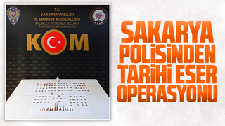 Sakarya'da tarihi eser operasyonu