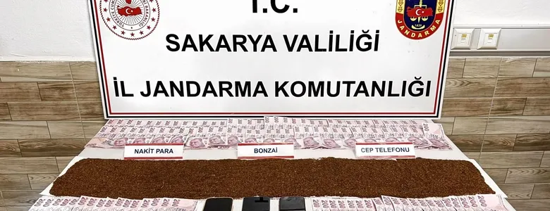 Sakarya'da torbacılara operasyon; İşte görüntüler