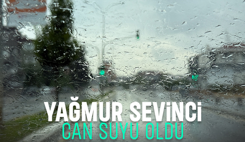 Sakarya'da yağmur yağdı, doğa nefes aldı
