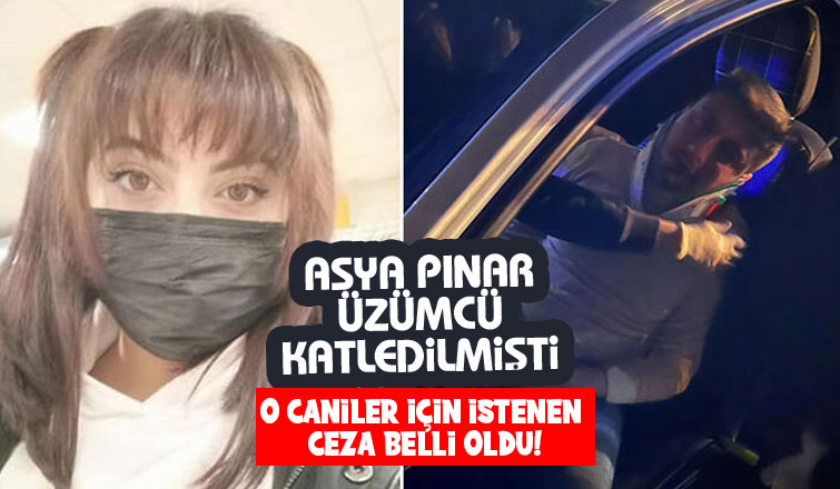  Sakarya'da yakalanan caniler için istenen ceza belli oldu