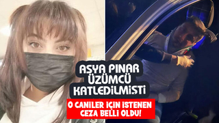  Sakarya'da yakalanan caniler için istenen ceza belli oldu