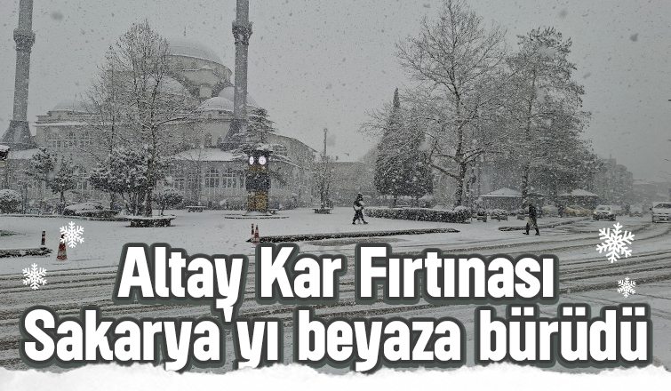 Sakarya'da yoğun kar yağışı