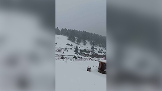 Sakarya'da yüksek kesimlere kar yağdı