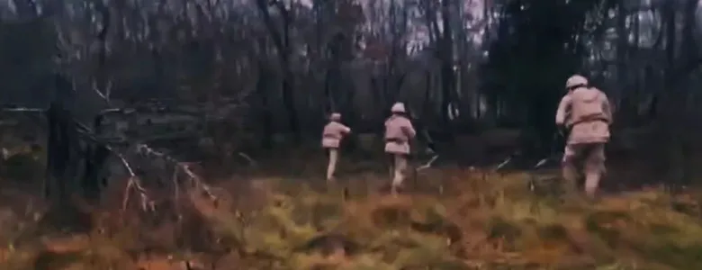 Sakarya dahil 15 ilde operasyon