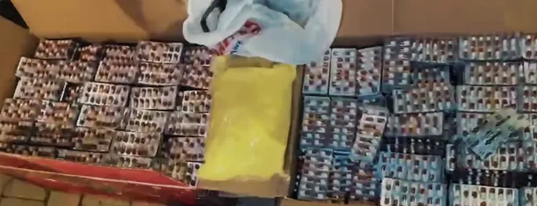 Sakarya dahil 23 şehirde operasyon