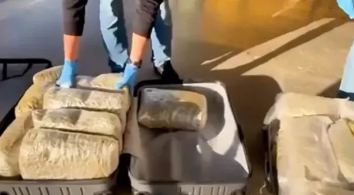 Sakarya dahil 73 şehirde operasyon