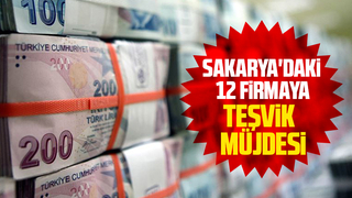 Sakarya'daki 12 firmaya teşvik müjdesi